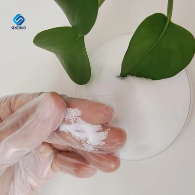 Buy Fungicides Sodium Benzoate Powder CAS 532-32-1 Food Preservatives online manufacture